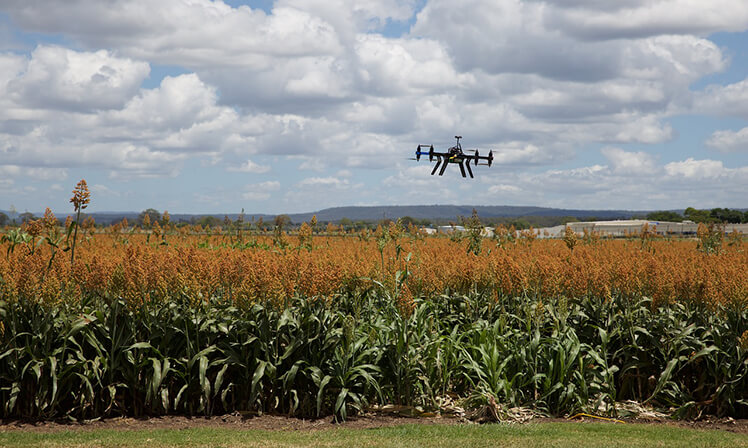 Agribusiness precisa de tecnologia e sustentabilidade