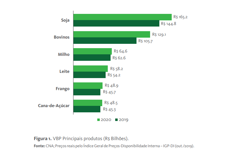 Agropecuária em alta em 2020