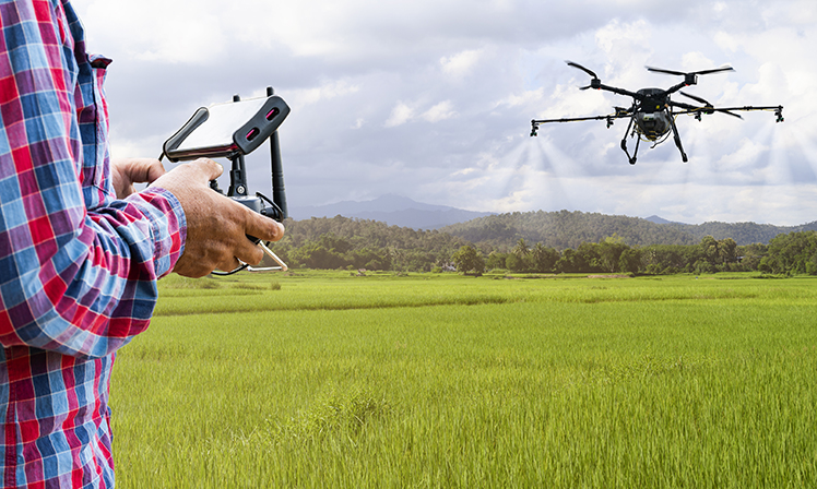 Drones auxiliam o agronegócio